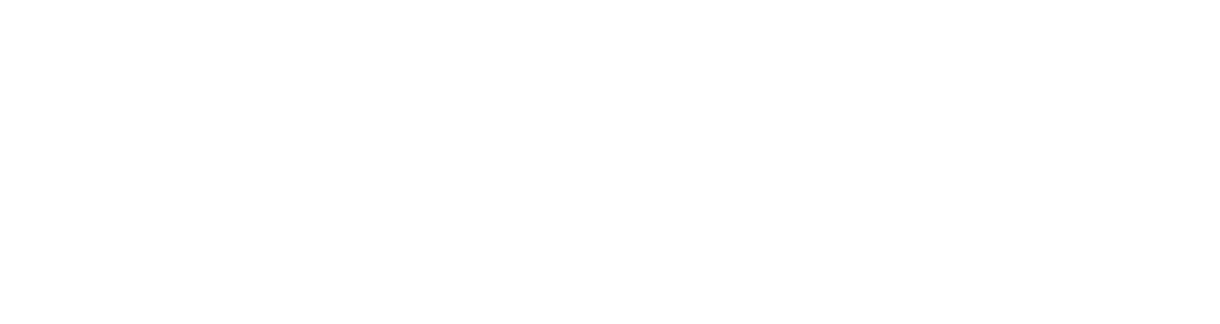 WP Logo SW negativ
